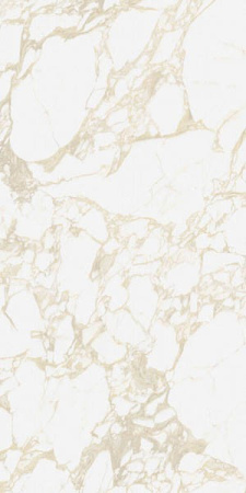 Керамогранит PULP Gold Raw (4100710) 60x120 от 41ZERO42 (Италия)