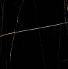 Керамогранит Sahara Black черный полированный 60 60 от Laparet