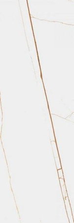 Слэб керамический SPIDER BROWN Polished 80x240x15 от StaroSlabs (Индия)