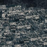 77569 Панно Zambaiti (Savana) (1*1) 5,10х3,00 винил на флизелине