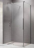 Душевая стенка Radaway Furo 48x200 10110480-01-01