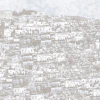 77567 Панно Zambaiti (Savana) (1*1) 5,10х3,00 винил на флизелине