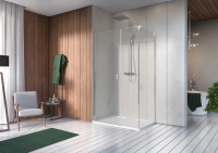 Душевая стенка Radaway NES 70x200 10043070-01-01