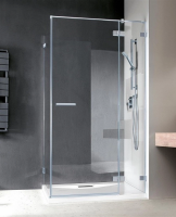 Душевая дверь Radaway Euphoria 80x200 383043-01R