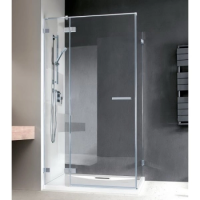 Душевая дверь Radaway Euphoria 120x200 383042-01L