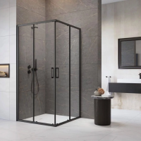 Душевая перегородка Radaway Premium Pro 100 1017100-54-01R