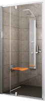 Душевая дверь в нишу Ravak Pivot PDOP2-100 профиль хром, стекло прозрачное