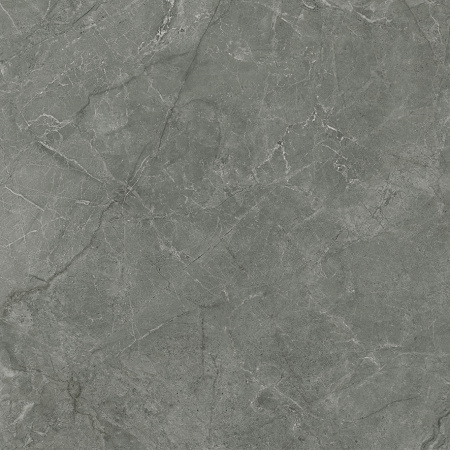 Pluto Grigio Керамогранит серый SG625920R 60х60 матовый