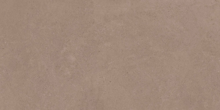 GO01 60x120x10 Непол.Рект. (Керамический гранит)