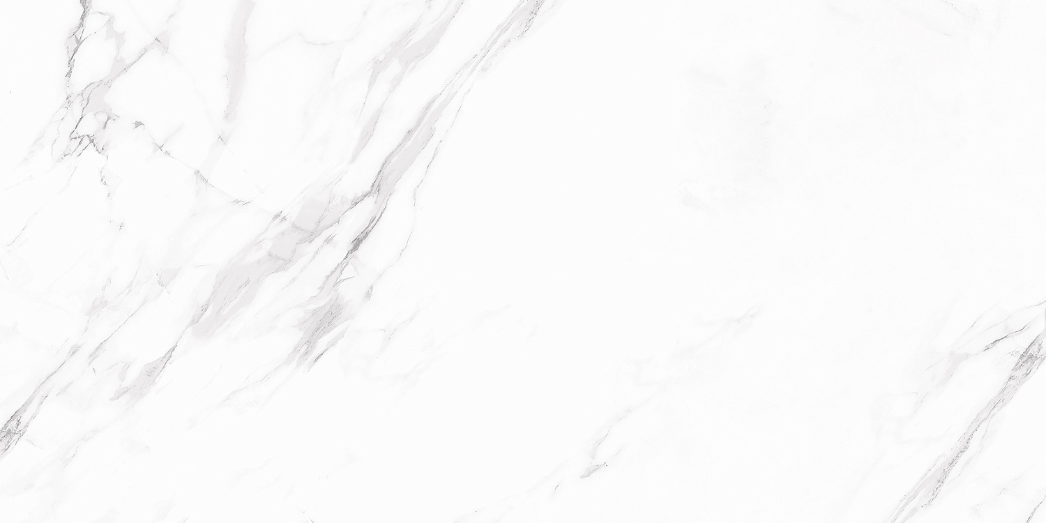 Carrara Blanco PRO Керамогранит белый 60х120 матовый R11Soft