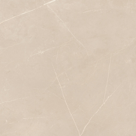 NL01 60x60x10 Полир. (Керамический гранит)